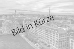 Bild in Kürze